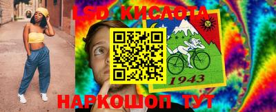 гашик Малгобек